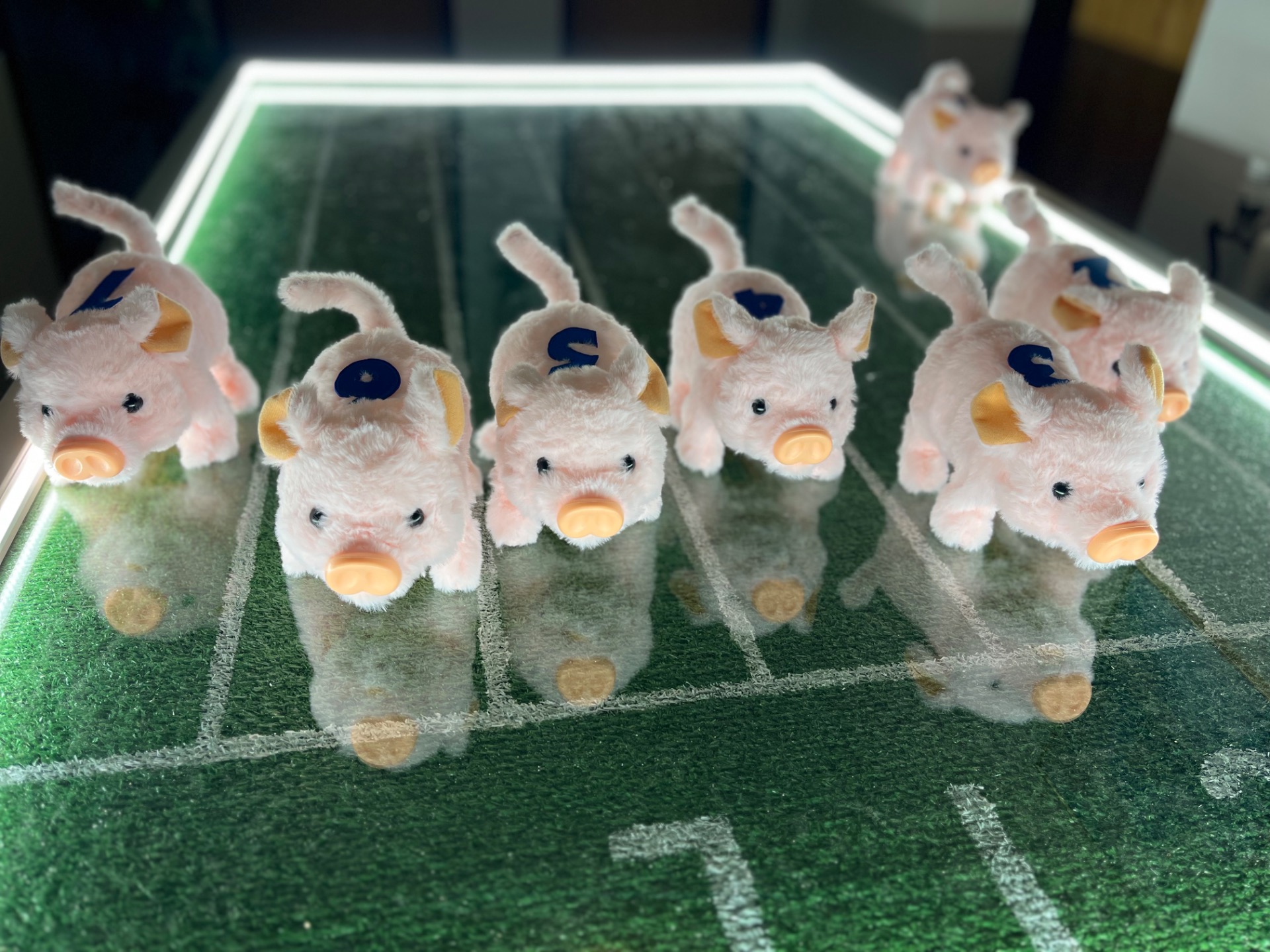 PRASÁTKOVÉ DOSTIHY